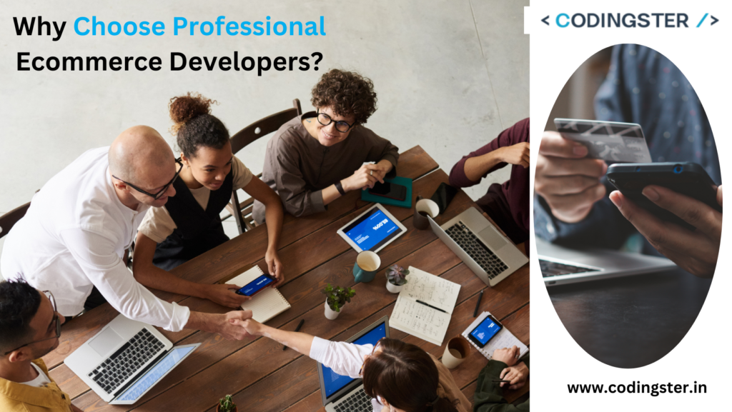 Why Choose Professional Ecommerce Developers?