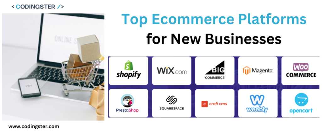 Best E-commerce Platforms for New Business